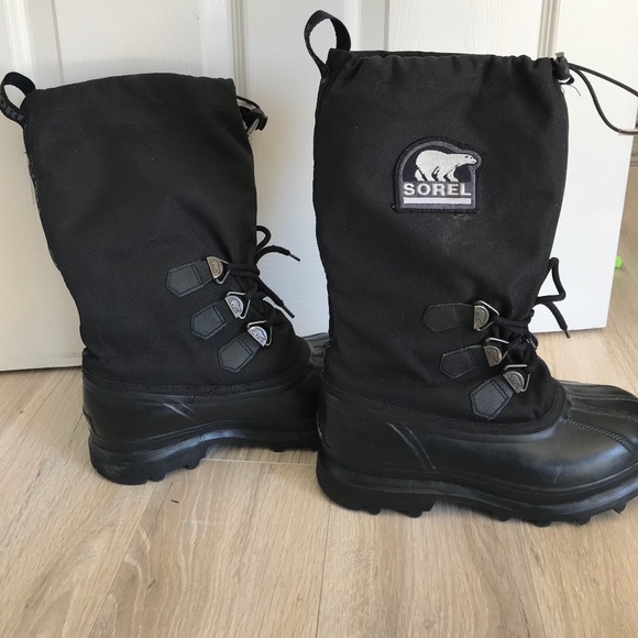 sorel bear